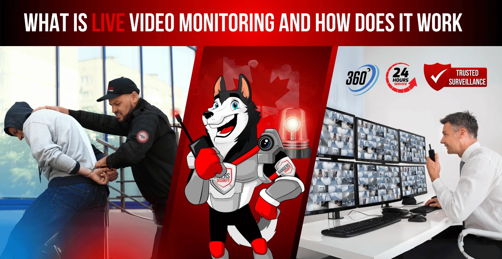 A security expert monitoring live video feeds and an on-site guard deterring a thief, with a mascot assisting to ensure full security