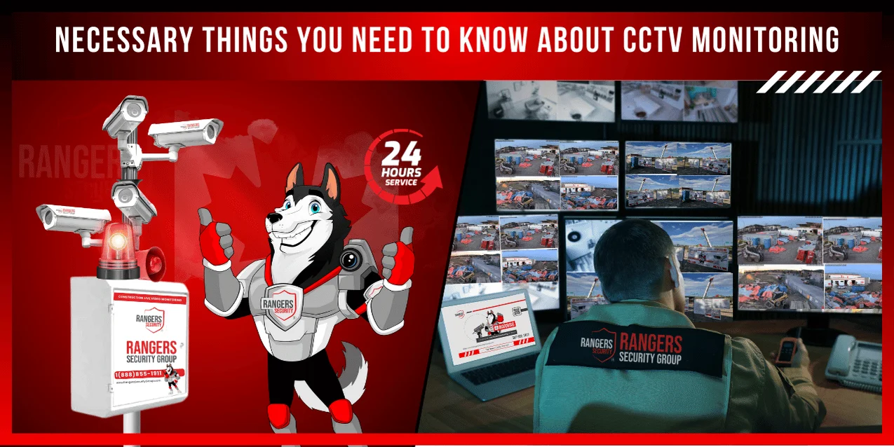 A security expert monitoring live video feeds and an on-site guard deterring a thief, with a mascot assisting to ensure full security.