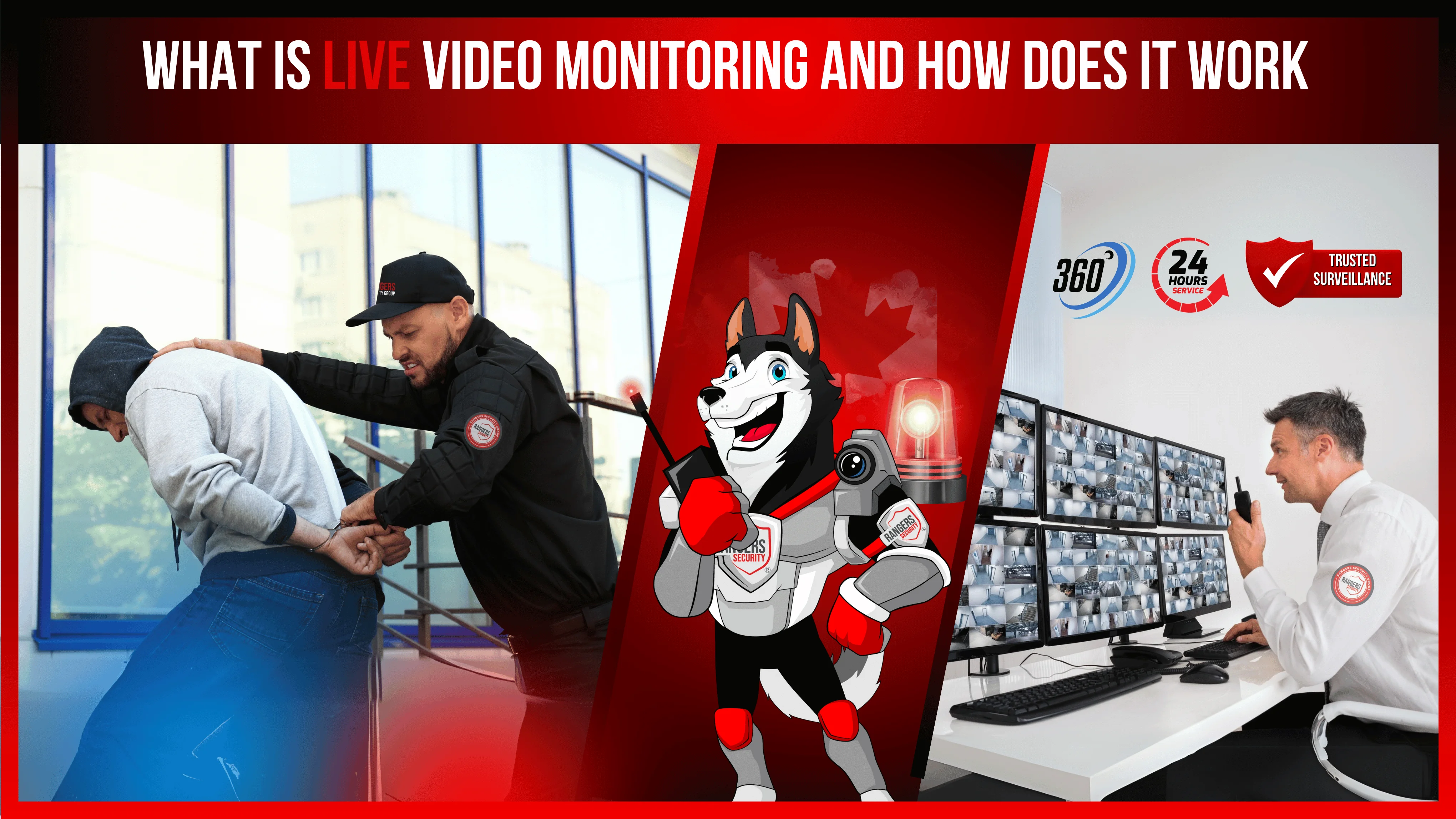 A security expert monitoring live video feeds and an on-site guard deterring a thief, with a mascot assisting to ensure full security.
