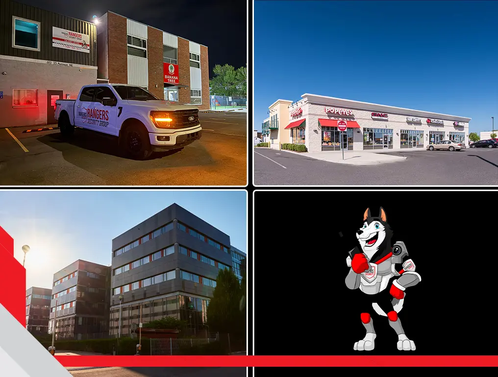 On-site and real-time monitoring security experts are addressing challenges and preventing threats with reliable solutions.