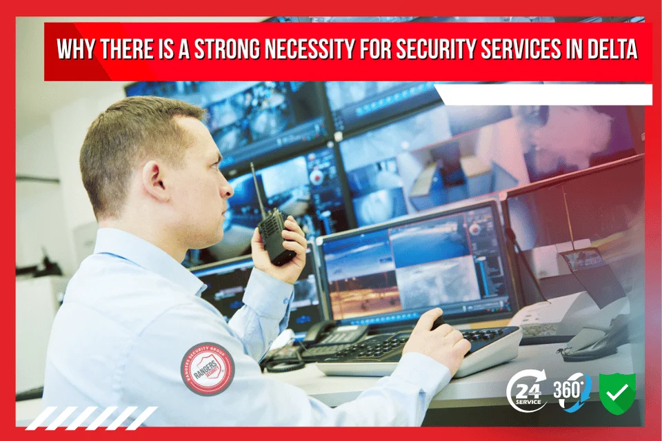 Live video monitoring expert watching real-time activity and meeting Delta’s growing 24/7 security needs by protecting the assets from threats.